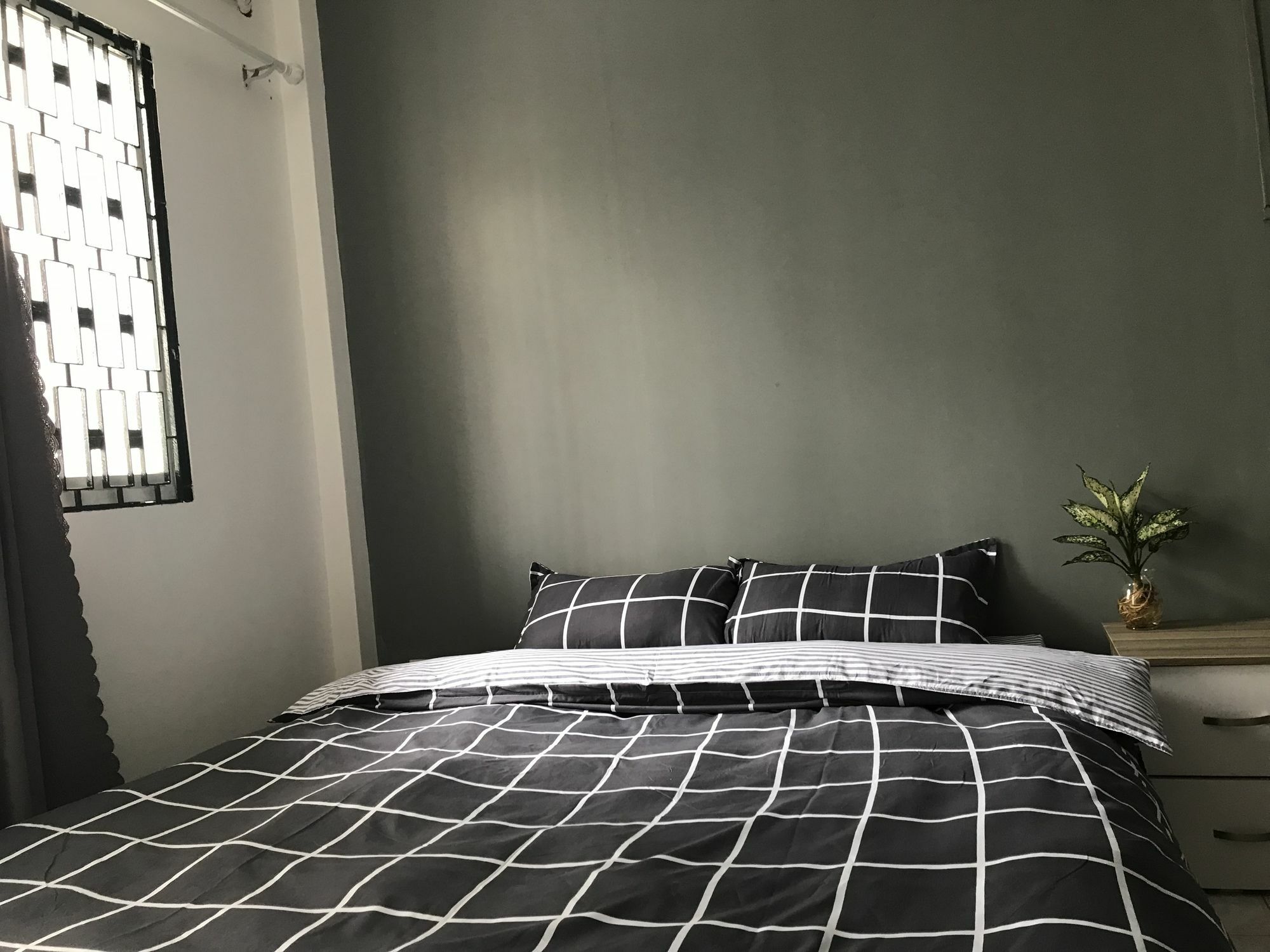 Meowies 2* TP. Hồ Chí Minh